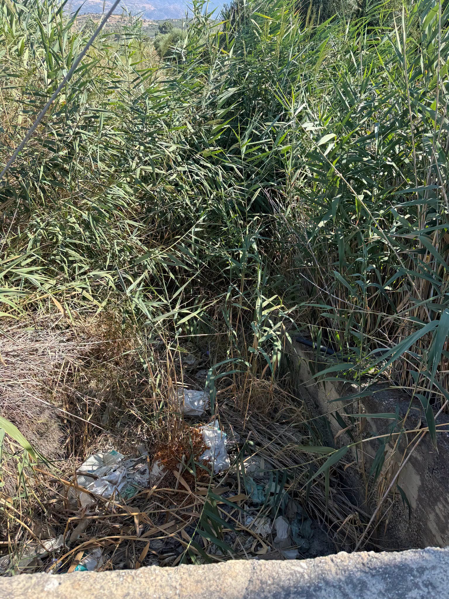 Του κάμπου η αλήθεια — εικόνα 4